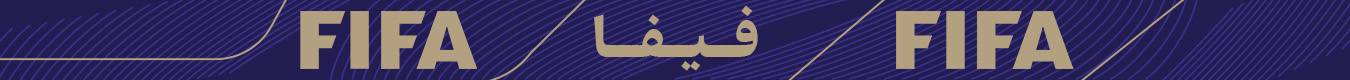 فدراسیون جهانی فوتبال