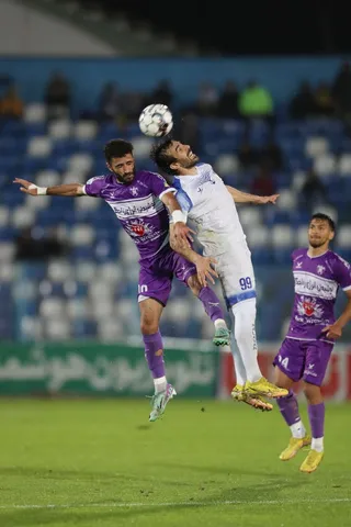 هوادار