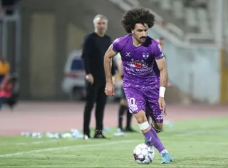 هوادار