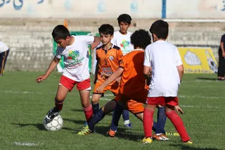 فستیوال