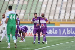 هوادار