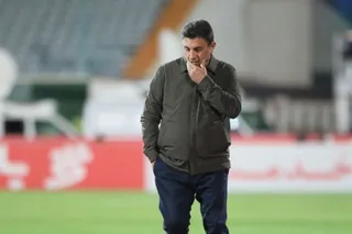 برد