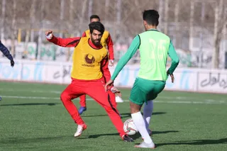 تيم اميد