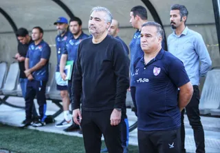 هوادار