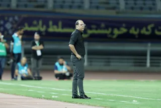 هوادار