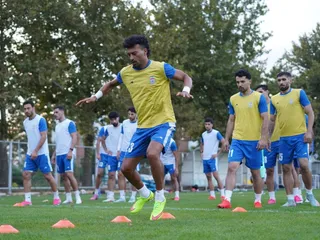 تیم ملی