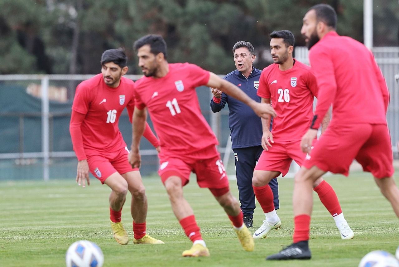 تیم ملی