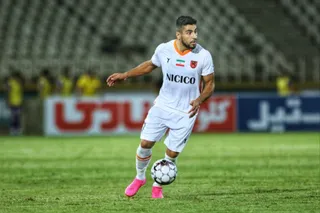هوادار