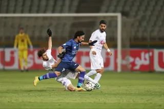 هوادار