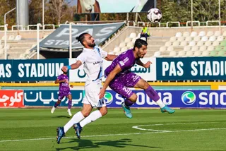 هوادار
