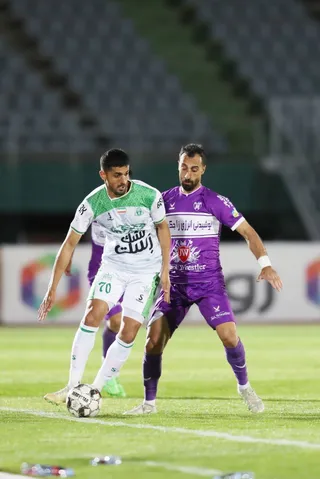 هوادار