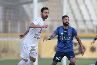 هوادار