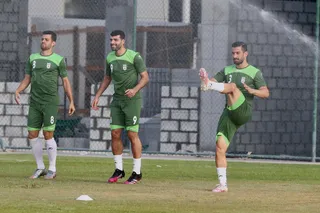 تیم ملی