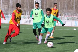 تيم اميد