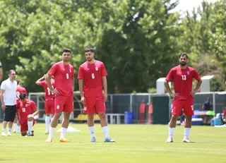 بزرگسالان