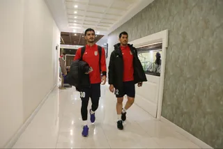 بزرگسالان