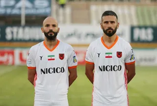 هوادار