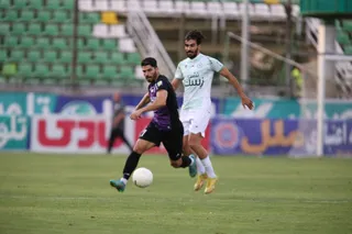 هوادار