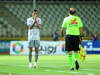هوادار