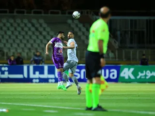 هوادار