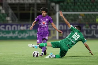 هوادار