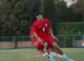 تیم ملی