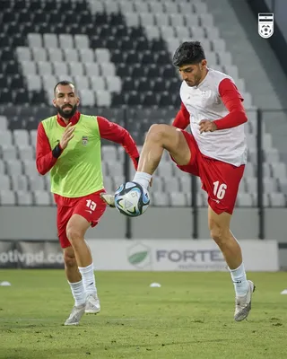 تیم ملی