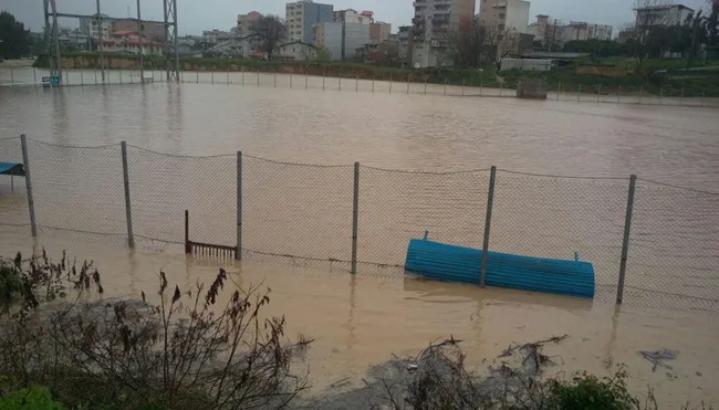 سیل