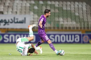هوادار