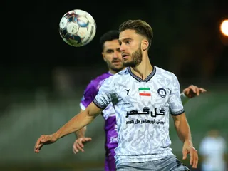 هوادار