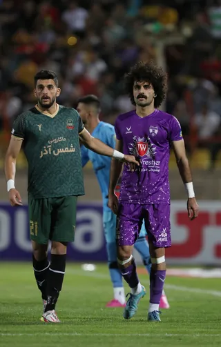 هوادار