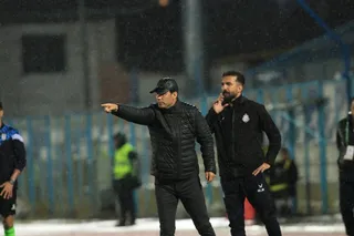 هوادار