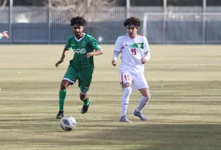 دوستانه