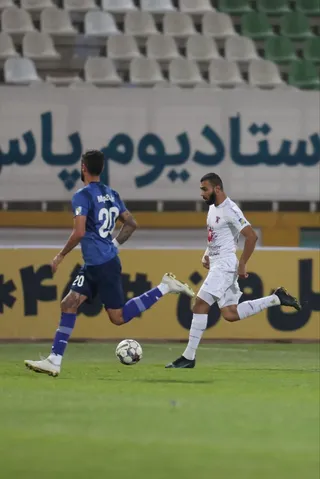 هوادار