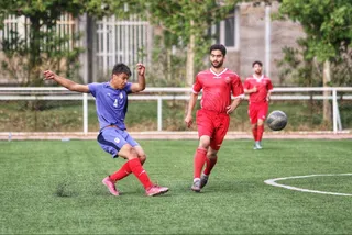 دوستانه