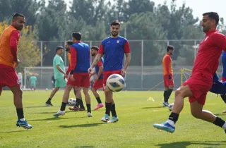 فدراسیون