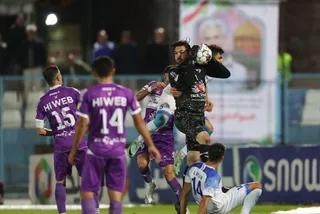 هوادار