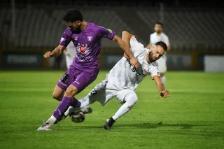 هوادار