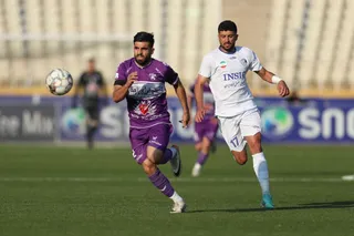 هوادار