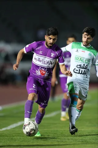هوادار