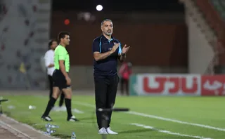 هوادار