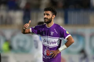 هوادار