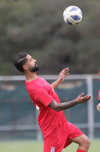 بزرگسالان ۱