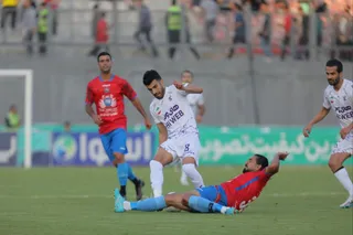 هوادار