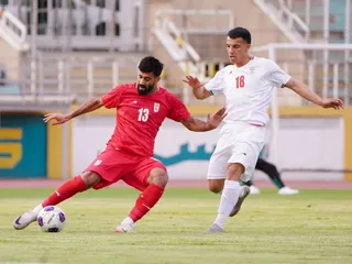 تیم ملی
