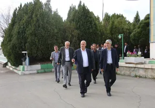 فدراسیون