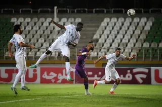 هوادار