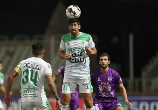 هوادار