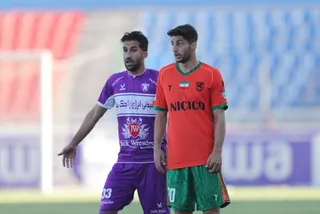 هوادار