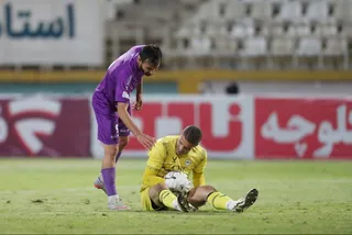 هوادار